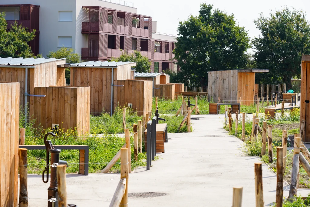 Image de l'article De nouveaux jardins potagers à Beaucouzé